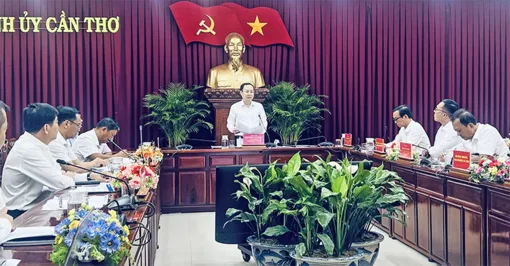 Quan tâm hỗ trợ tối đa cho nhà đầu tư triển khai dự án Khu công nghiệp Vĩnh Thạnh