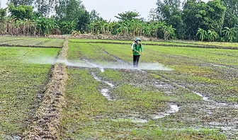 Thúc đẩy sử dụng thuốc bảo vệ thực vật an toàn và hiệu quả