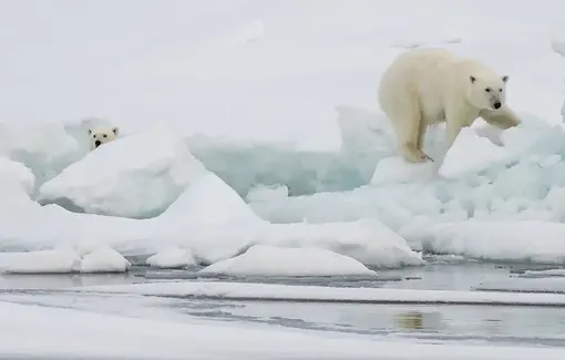 Mỹ lo ngại Bắc Cực trở thành khu vực đối đầu chiến lược