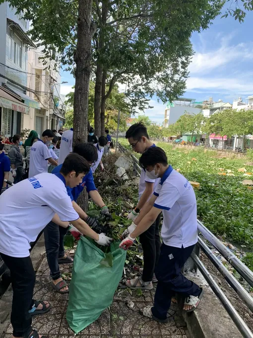 Sinh viên tham gia bảo vệ môi trường