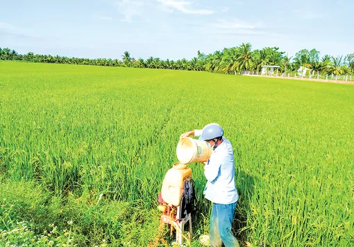 Vĩnh Long tăng cường quản lý vật tư nông nghiệp