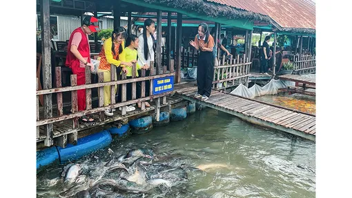 Đến cồn Sơn trải nghiệm bảo tồn cá nước ngọt