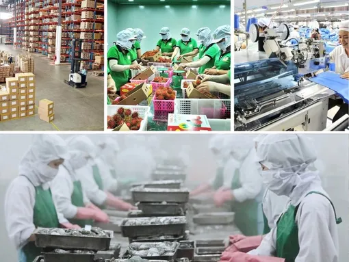 DARAVIN với sứ mệnh “phủ Xanh” kho hàng doanh nghiệp miền Tây