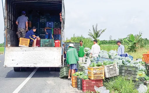 Dạo quanh thị trường