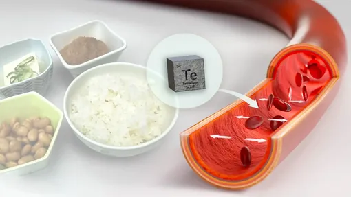 Phát hiện hoạt chất trong thực phẩm gây huyết áp cao