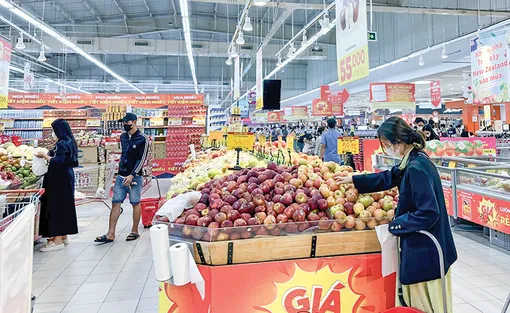 Triển khai hiệu quả các chính sách gia hạn, miễn, giảm thuế, tiền thuê đất