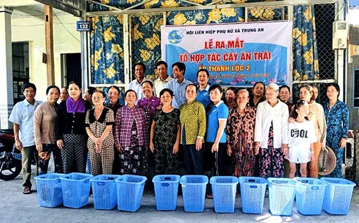 Ra mắt Tổ hợp tác trồng cây ăn trái