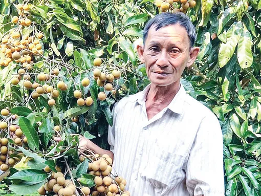 Hỗ trợ hợp tác xã khai thác lợi thế sản phẩm địa phương