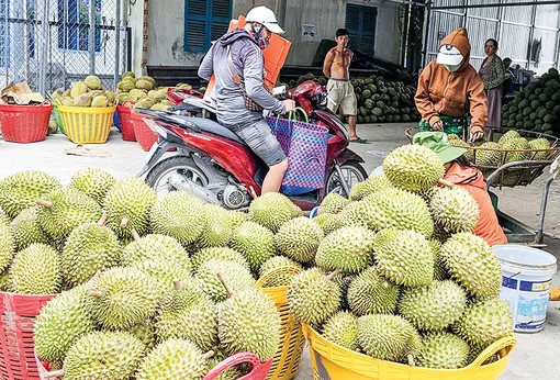 Dạo quanh thị trường