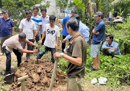 Nâng cao kỹ thuật nghề nông nghiệp