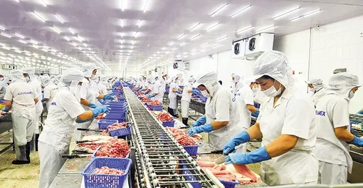 Mở đường để nông sản Việt thâm nhập thị trường Hoa Kỳ