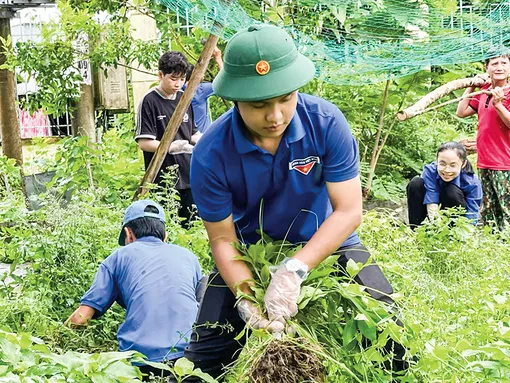 Sôi nổi các hoạt động tình nguyện hè