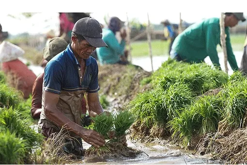 La Nina có thể là “con dao hai lưỡi” đối với Ðông Nam Á