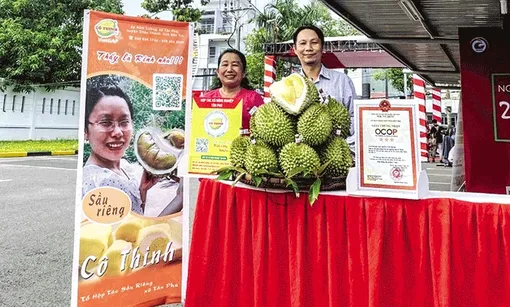 HTX sầu riêng giúp nhiều nông dân làm giàu