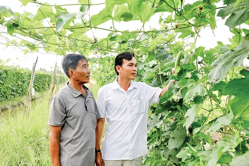 Khích lệ, hỗ trợ nông dân sản xuất