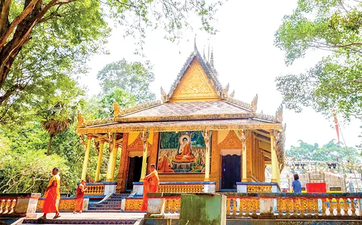 “Mỏi mắt” mới thấy được dơi quý