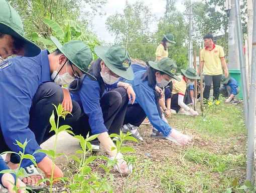 Tuổi trẻ Mỹ Khánh tình nguyện vì cộng đồng