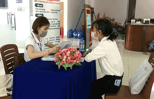 Tăng cường các hình thức tư vấn, kết nối giới thiệu việc làm