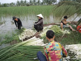 Kiếm tiền từ cỏ dại