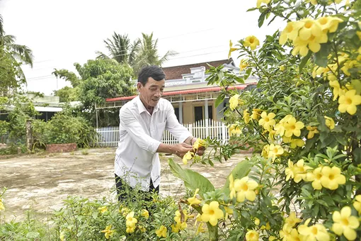 Tỉ phú mê lúa hữu cơ Ba Đại