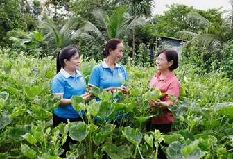 Giúp nhau phát triển kinh tế