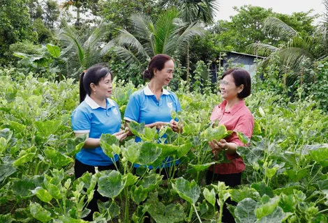 Giúp nhau phát triển kinh tế