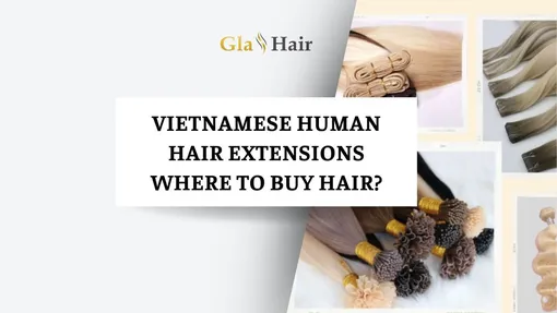 Why Vietnamese Human Hair Extensions Are Popular - Where To Buy Hair?