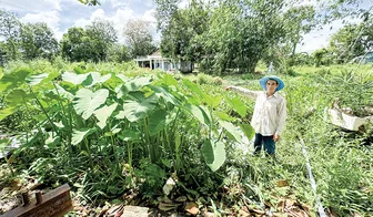 Cầu thi công 7 năm vẫn chưa hoàn thiện