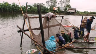 Nuôi thủy sản đảm bảo an toàn để giữ vững thị trường xuất khẩu