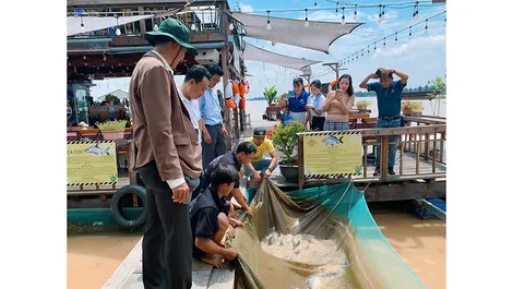 Khảo sát và xây dựng tuyến du lịch đường sông