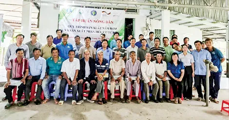 Tập huấn quy trình sản xuất nấm rơm và sản xuất phân hữu cơ từ rơm