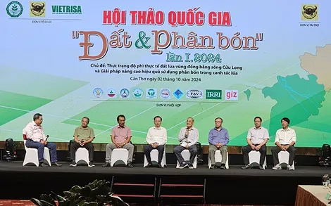 Đề xuất giải pháp cải tạo đất và nâng cao hiệu quả sử dụng phân bón trong canh tác lúa