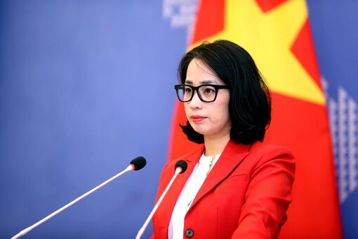 Vietnam resolutely opposes Chinese force's brutal behaviours towards Vietnamese fishermen: Spokeswoman