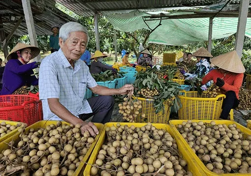 Người góp công lớn trong xây dựng thương hiệu nhãn Ido Ðồng Tâm