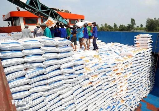 Indian expert suggests ways for Vietnam to boost rice exports