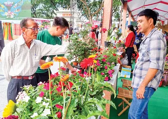 Công nghệ sinh học giúp tăng tính cạnh tranh của nông nghiệp Việt Nam