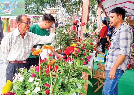 Công nghệ sinh học giúp tăng tính cạnh tranh của nông nghiệp Việt Nam