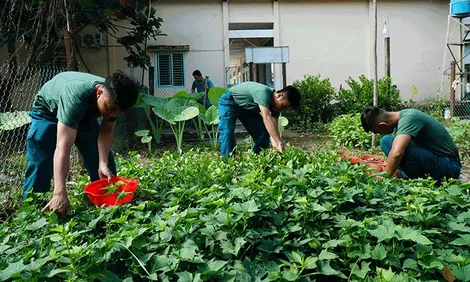 Ban Chỉ huy Quân sự xã Xuân Thắng thi đua hoàn thành tốt nhiệm vụ chính trị