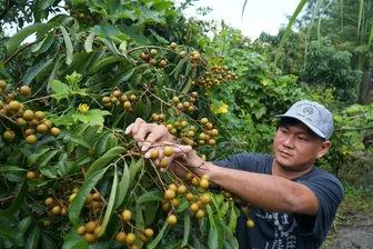 Giúp đoàn viên, thanh niên tăng thu nhập