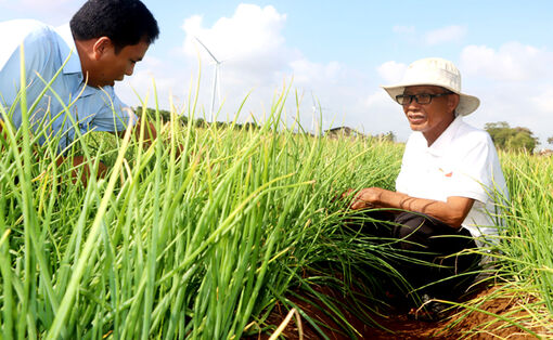 ប្រ​សិទ្ធ​ភាព​ក្នុង​ការ​ផលិត​តាម​បែប​សរី​រាង្គ​