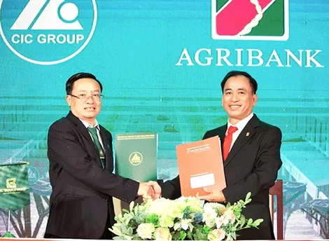 Agribank Chi nhánh tỉnh Kiên Giang ký kết hợp đồng tài trợ dự án nhà ở thương mại với Tập đoàn Tư vấn đầu tư xây dựng Kiên Giang