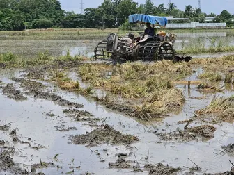 Chuẩn bị chu đáo cho vụ lúa đông xuân