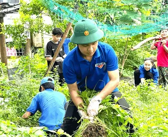 Khởi động xét chọn hồ sơ Giải thưởng Tình nguyện Quốc gia năm 2024