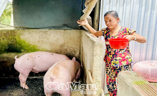 កាម៉ាវៈ ពិពិធ​កម្ម​របរ​រក​ស៊ី​ចិញ្ចឹម​ជីវិត ពង្រីក​លទ្ធ​ភាព​ផ្ទាល់​ខ្លួន​