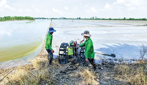 Hỗ trợ nông dân sản xuất vụ lúa đông xuân