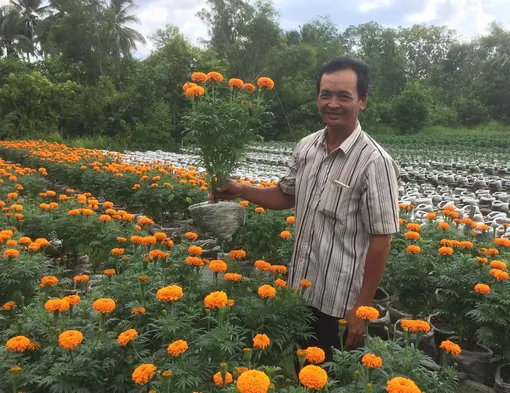 Làm giàu với mô hình trồng hoa