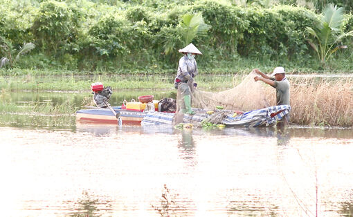 រក​បាន​ប្រាក់​ចំណូល​ពី​ការ​ចិញ្ចឹម​ត្រី​ក្នុង​រដូវ​ទឹក​ឡើង