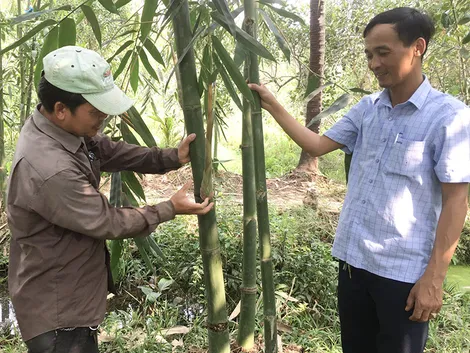 Hợp tác sản xuất, nâng cao thu nhập