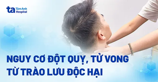 Những trào lưu “đi vào lòng đất”