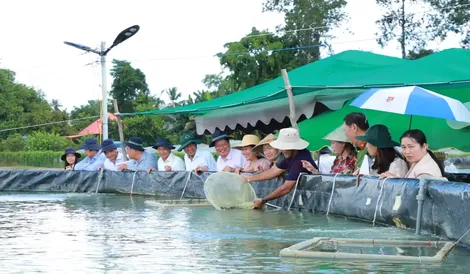 Hỗ trợ phát triển nông nghiệp chất lượng cao